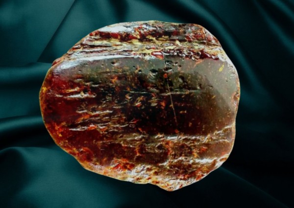 В Румынии женщина десятилетиями подпирала дверь самородком янтаря за €1 млн