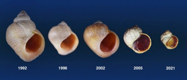 Эволюция в действии: 30-летний эксперимент раскрывает невероятные тайны Эволюция в действии: 30-летний эксперимент раскрывает невероятные тайны