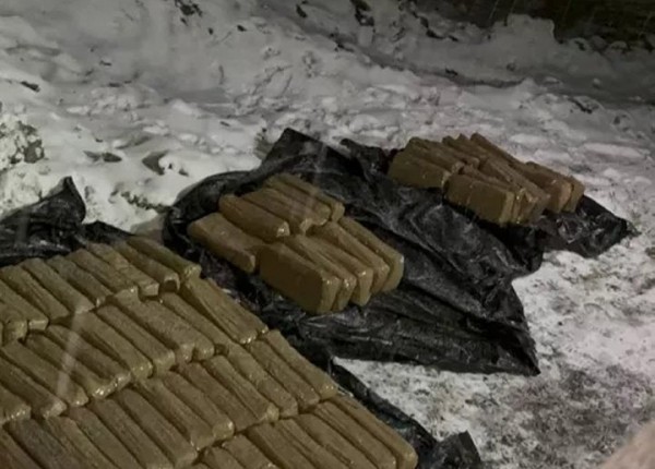 Дальнобойщика из Беларуси задержали в России с контрабандой на $3,8 миллиона